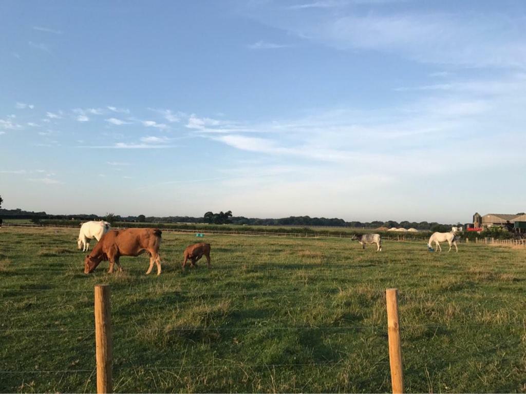 Shepherdshuts-Southeast Hotell Ashford  Exteriör bild