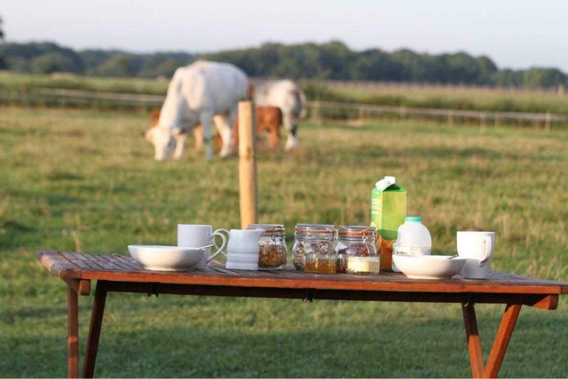 Shepherdshuts-Southeast Hotell Ashford  Exteriör bild