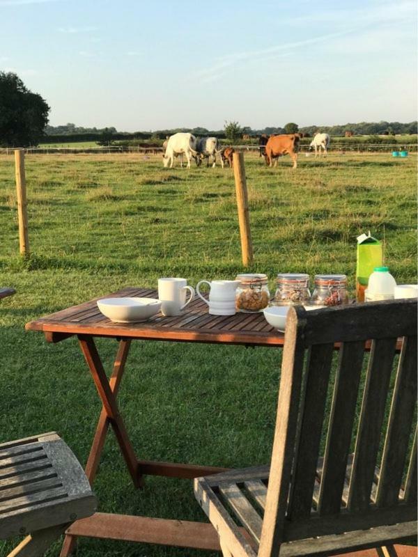 Shepherdshuts-Southeast Hotell Ashford  Exteriör bild