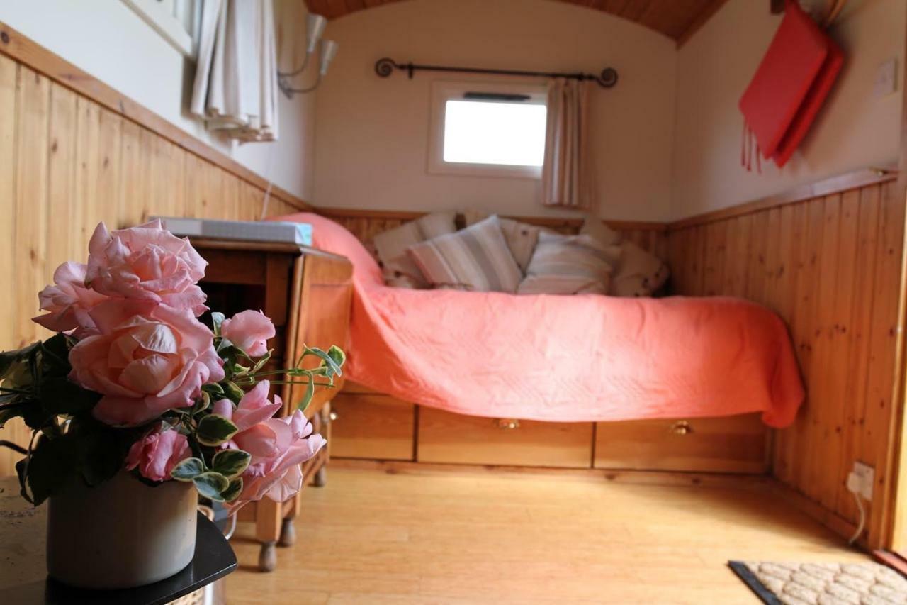 Shepherdshuts-Southeast Hotell Ashford  Exteriör bild